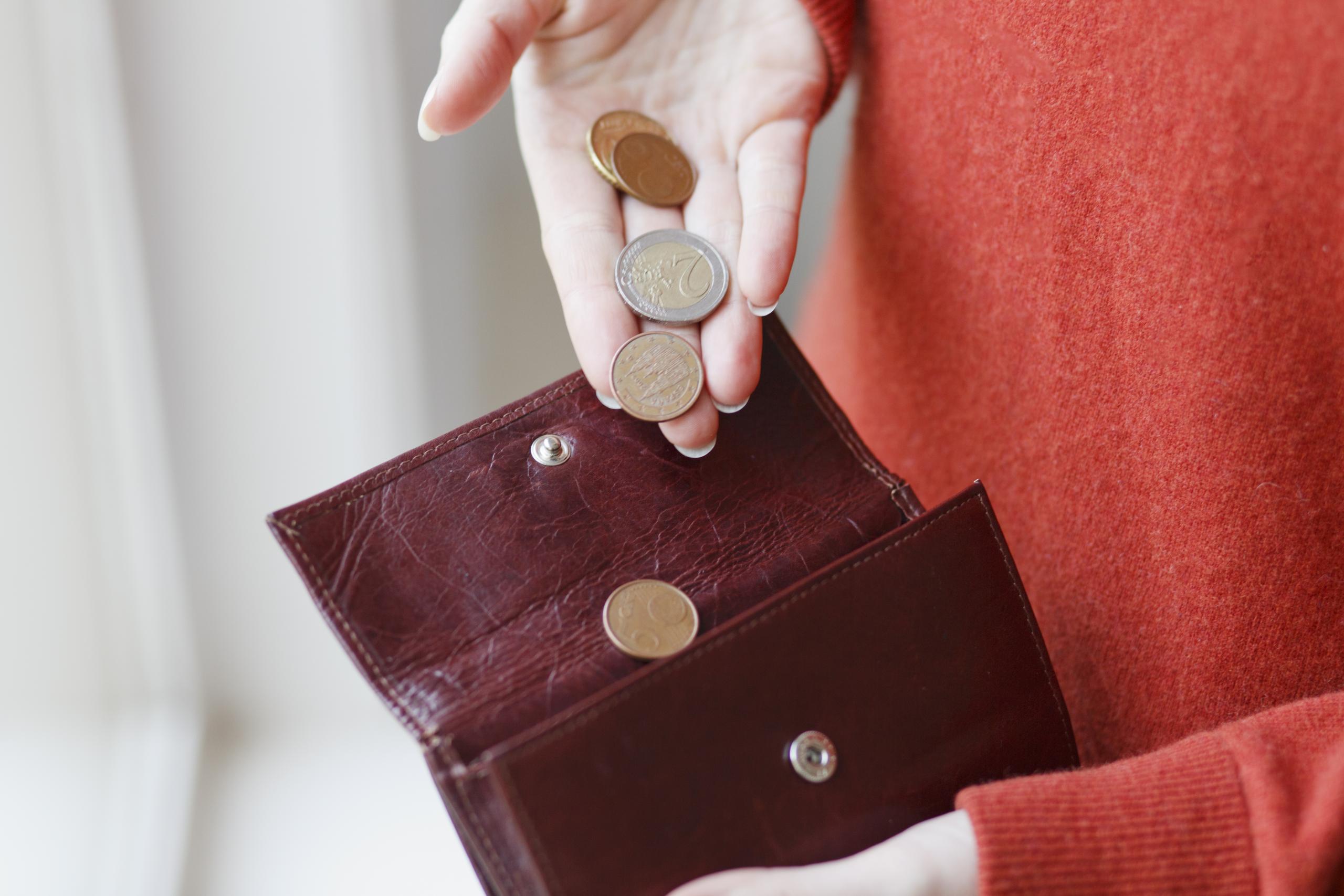 Portemonnee met geld Portemonnee met geld