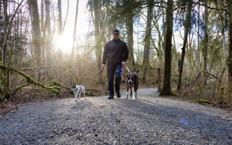 Man van middelbare leeftijd loopt in het bos met zijn twee honden.