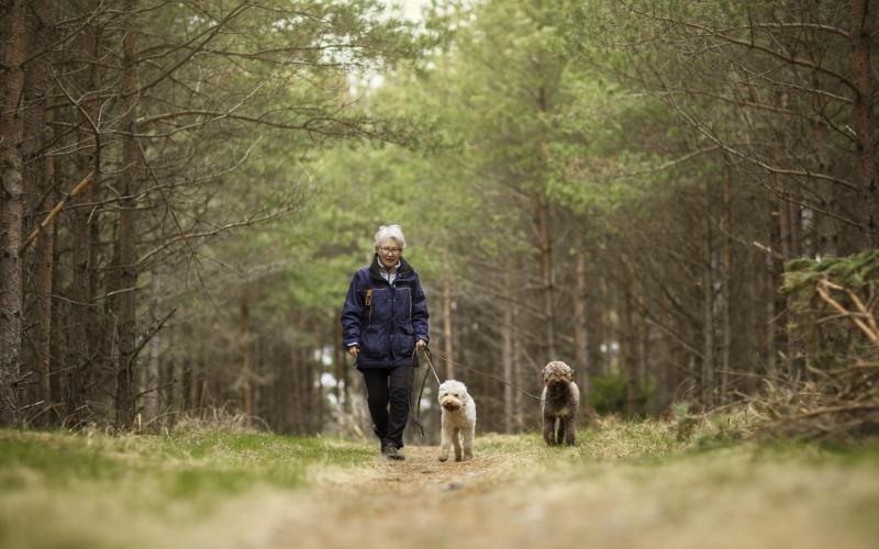 Een vrouw wandelt met haar twee honden in het bos