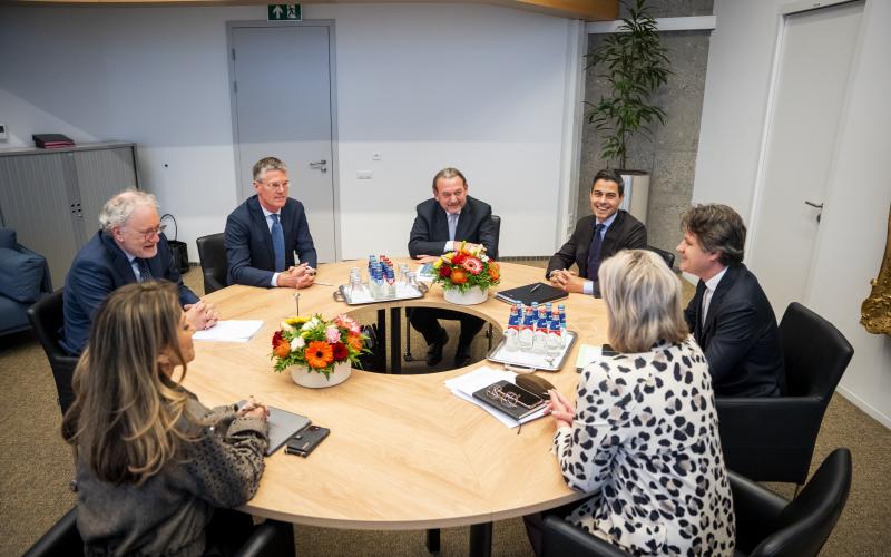 Hoge Colleges van Staat