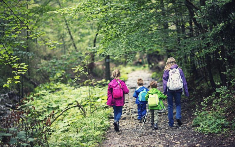 Moeder wandelt met drie kinderen in het bos Moeder wandelt met drie kinderen in het bos