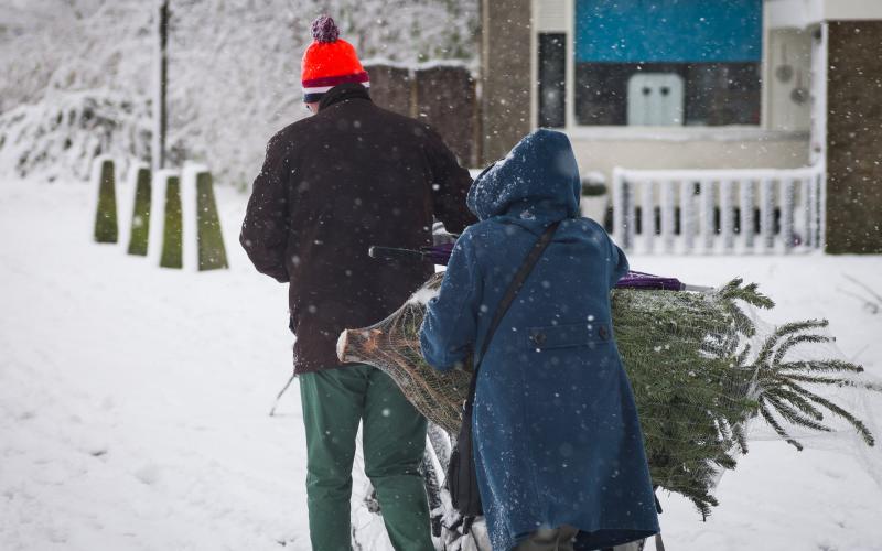 Man en vrouw met kerstboom op de fiets Man en vrouw met kerstboom op de fiets
