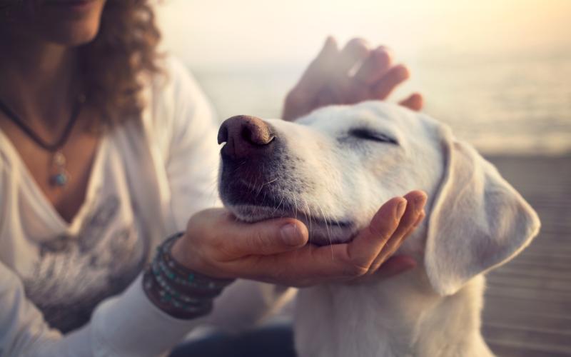 Foto van een vrouw met een hond