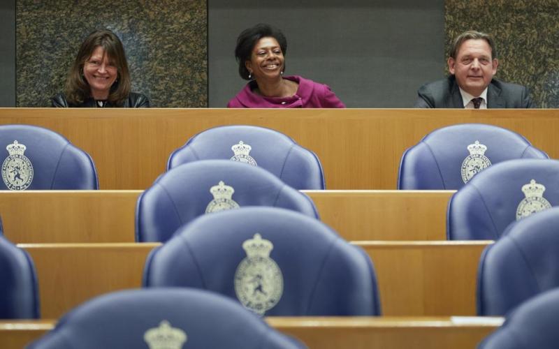 De Nationale ombudsman, Substituut ombudsman en Kinderombudsman in de Tweede Kamer