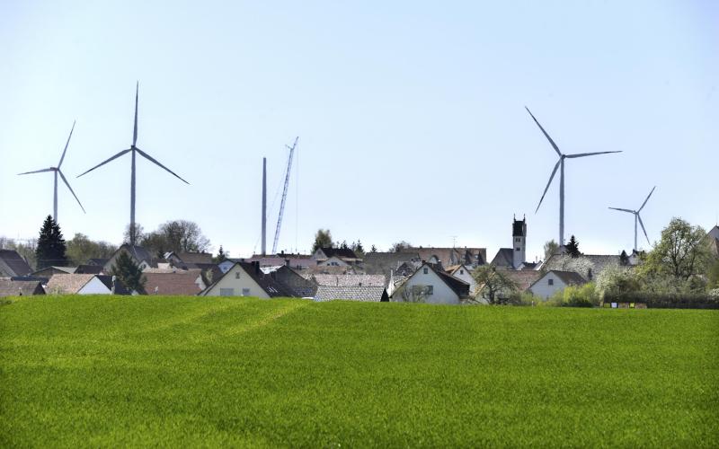 Windmolens en huizen in een groen weiland