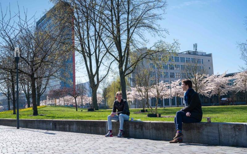 Two boys sitting in the park