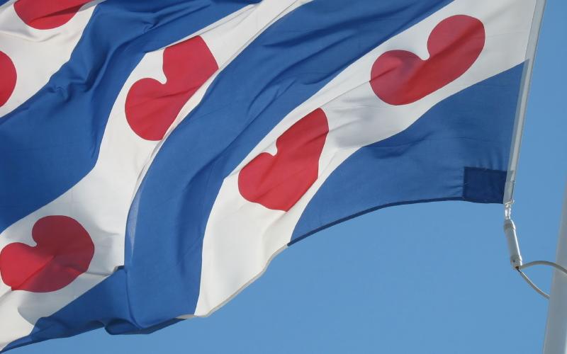 Foto van de Friese vlag Foto van de Friese vlag