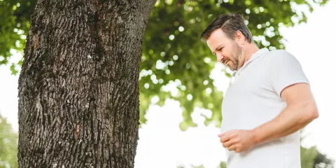 man kijkt naar boom