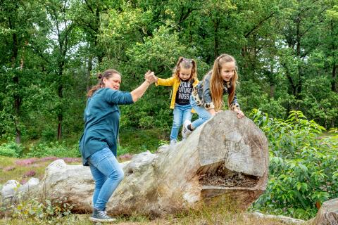 Twee meisjes spelen in het bos. Ze klimmen op een omgewaaide boom. Ernaast staat hun moeder