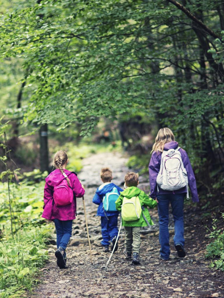 Moeder wandelt met drie kinderen in het bos