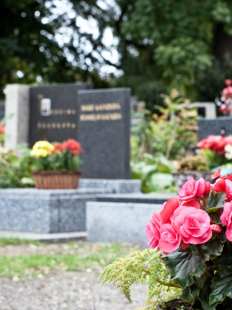 Foto van een begraafplaats