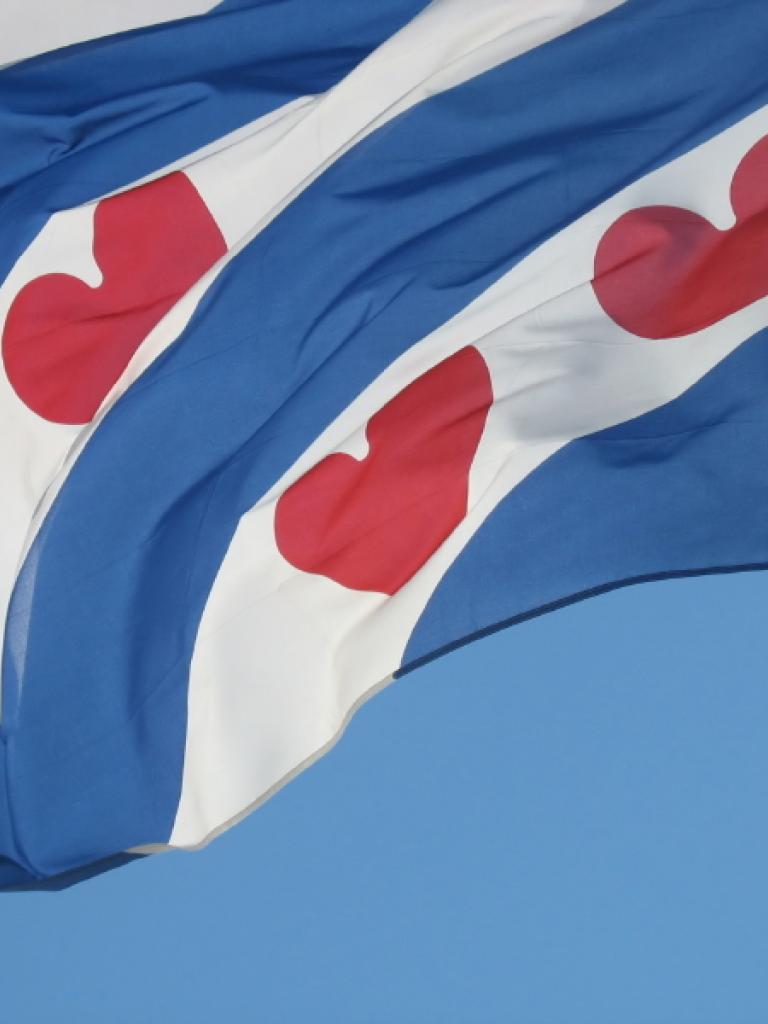 Foto van de Friese vlag
