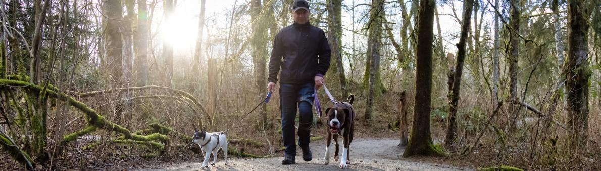 Man van middelbare leeftijd loopt in het bos met zijn twee honden.