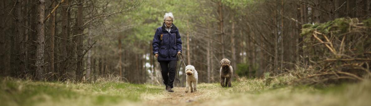 Een vrouw wandelt met haar twee honden in het bos