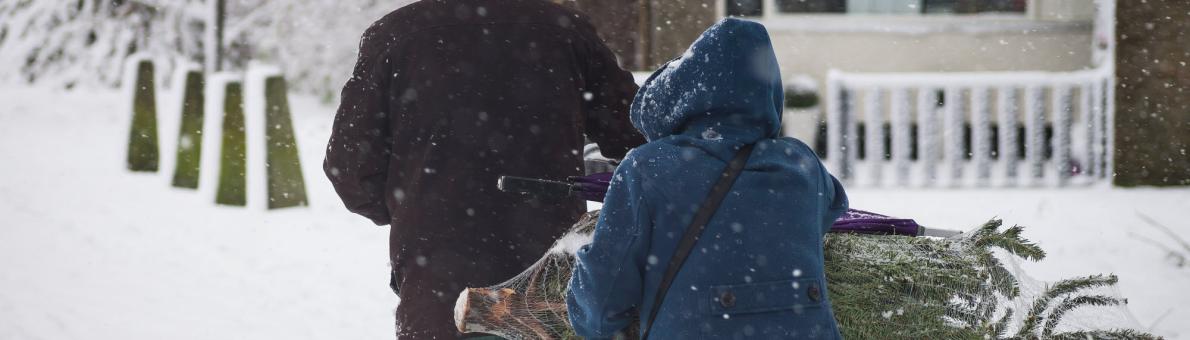 Man en vrouw met kerstboom op de fiets