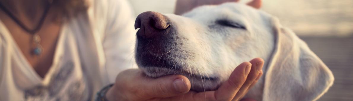 Foto van een vrouw met een hond