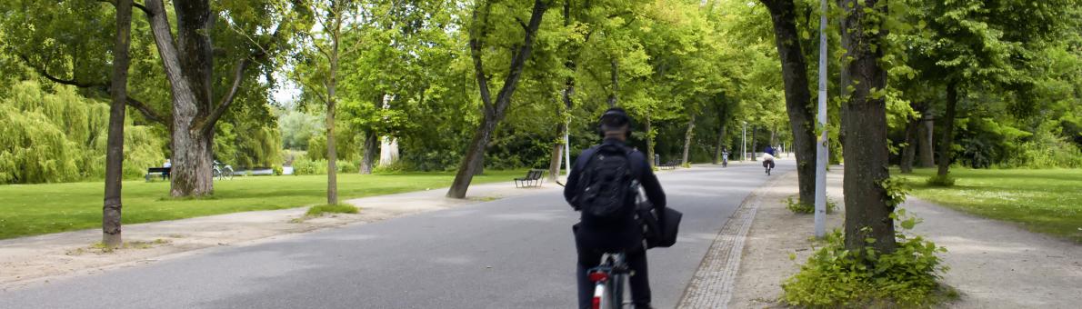 Man op fiets door het park