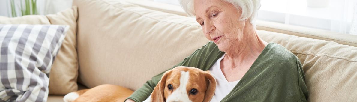 Vrouw zit met hond op de bank een boek te lezen