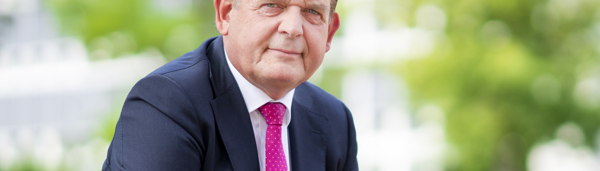Reinier van Zutphen, Nationale ombudsman