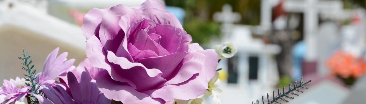 Bloemen op een begraafplaats Bloemen op een begraafplaats